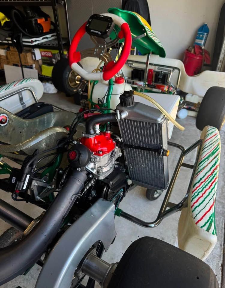 Tony Kart 125cc Rotax Max